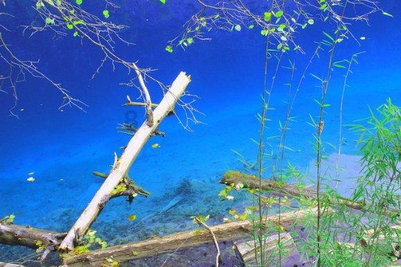 海绵宝宝寻珍宝
