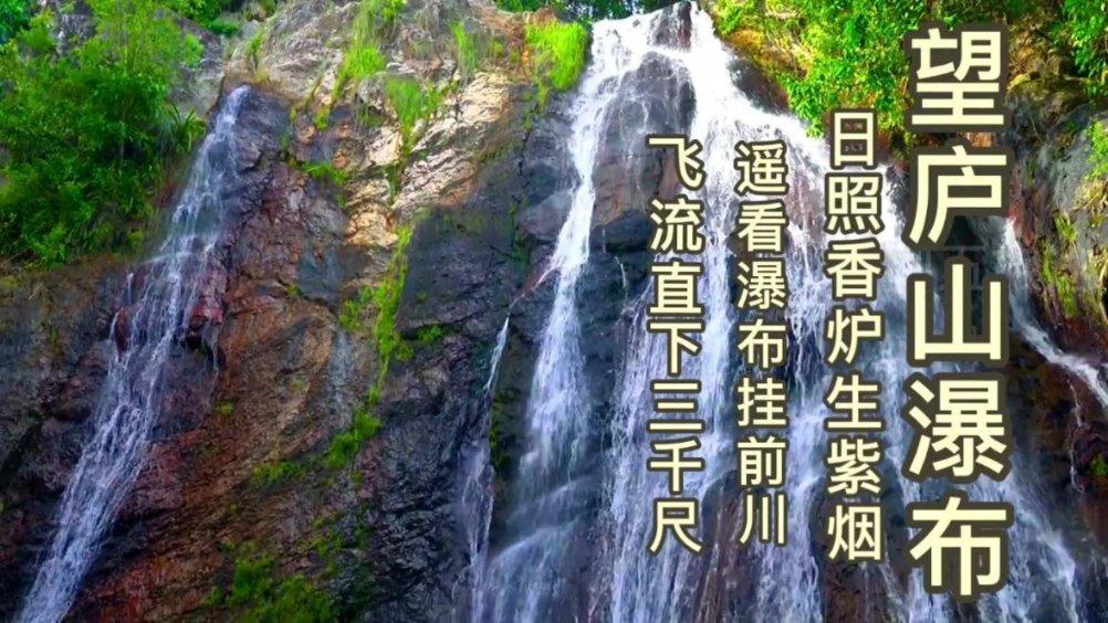 逃离变色龙森林